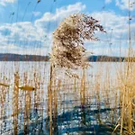 Korony Drzew - Nad Jeziorem Z Prywatnym Pomostem