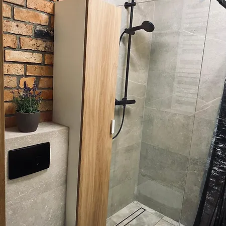 Korony Drzew - Mazury Mrągowo