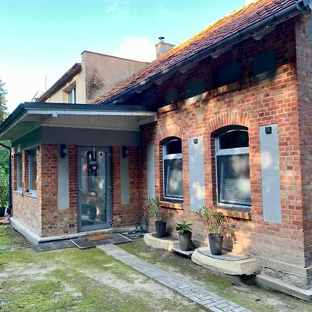 Korony Drzew - Mazury Mragowo