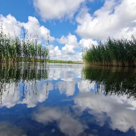 Korony Drzew - Mazury Mragowo
