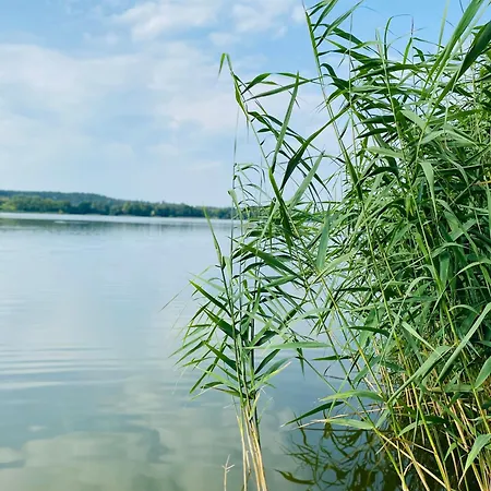Korony Drzew - Mazury Apartment Mragowo