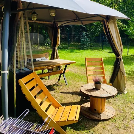 Korony Drzew - Mazury