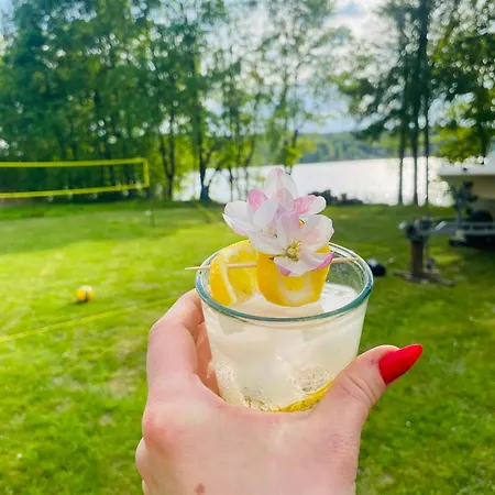 Korony Drzew - Mazury