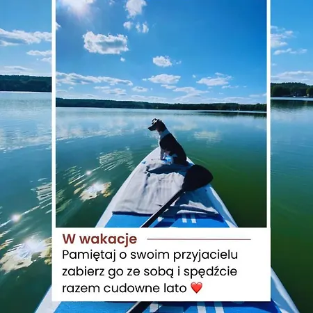 Korony Drzew - Mazury *