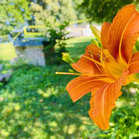 Διαμέρισμα Korony Drzew - Mazury *