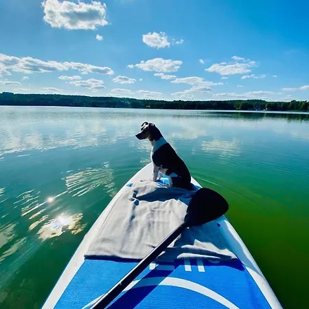 Korony Drzew - Mazury * Mrągowo