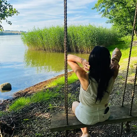 Korony Drzew - Mazury Mrągowo