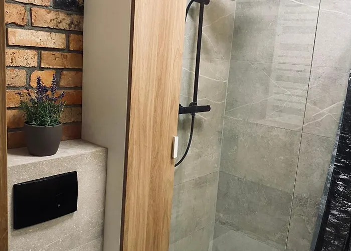 Korony Drzew - Mazury Mrągowo