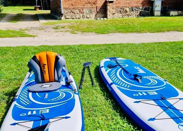 Korony Drzew - Mazury Mrągowo