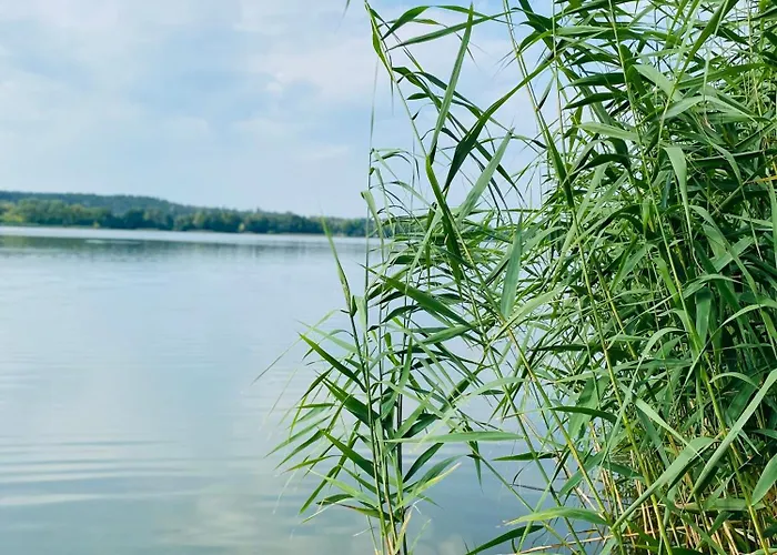 Korony Drzew - Mazury Apartament Mrągowo