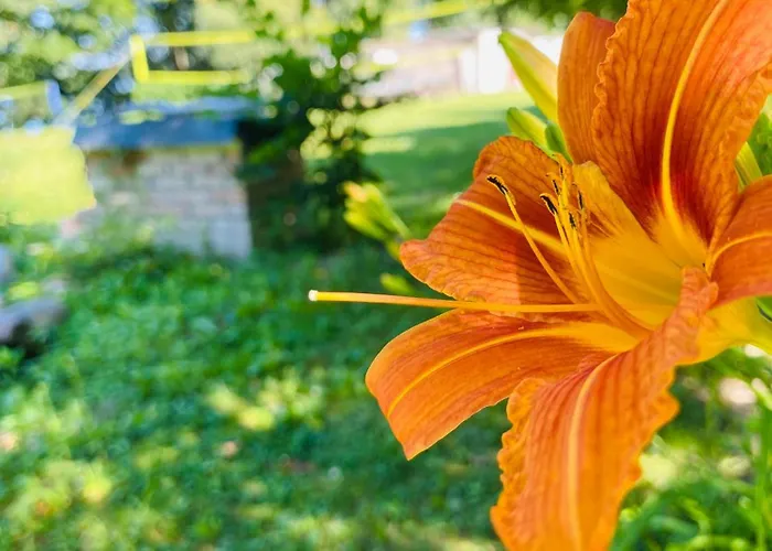 Apartament Korony Drzew - Mazury *