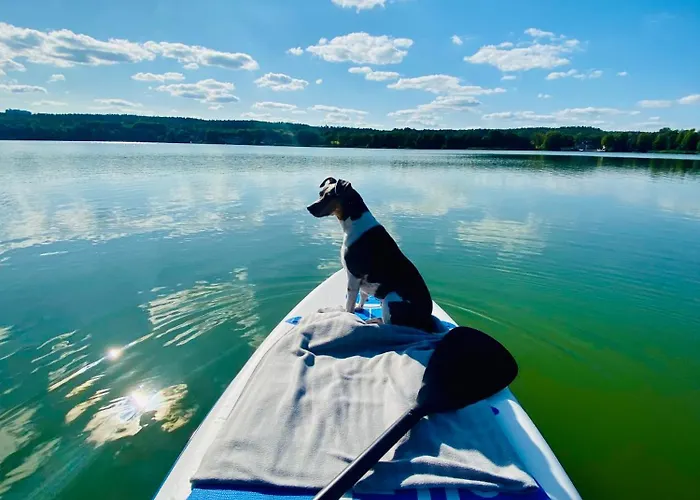 Korony Drzew - Mazury * Mrągowo