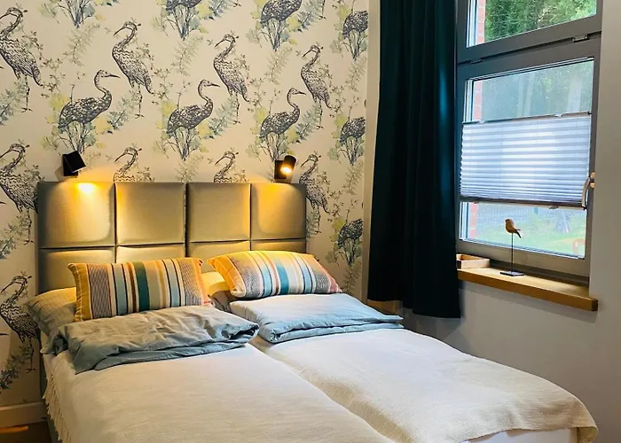 Korony Drzew - Mazury * Mrągowo